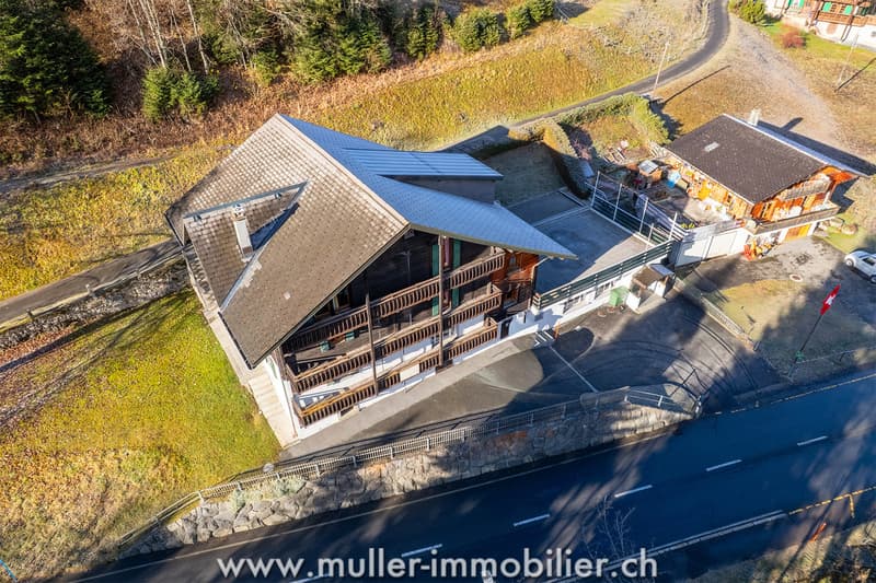 Welcome Chalet for Groups in Morgins at Portes-du-Soleil (2)