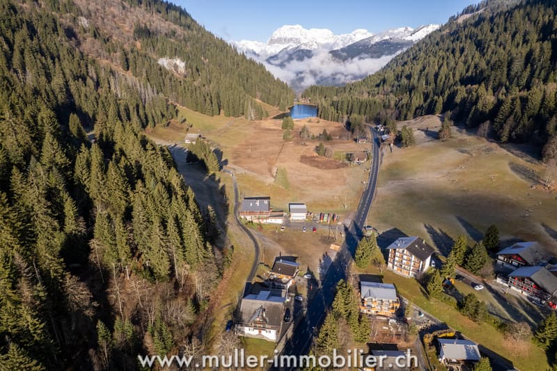 Welcome Chalet for Groups in Morgins at Portes-du-Soleil (12)