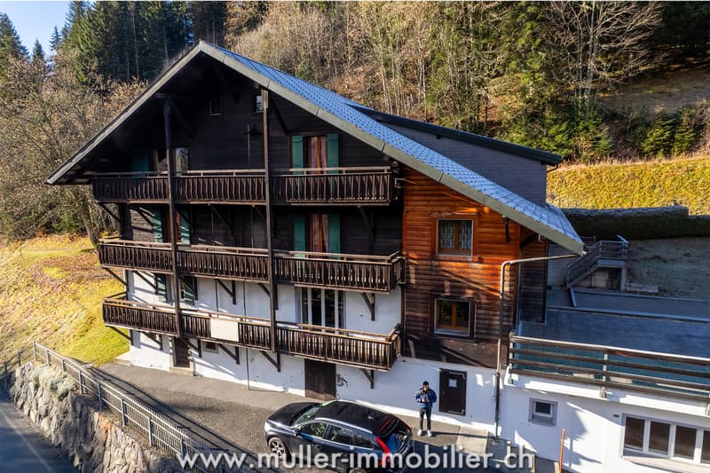 Welcome Chalet for Groups in Morgins at Portes-du-Soleil (3)