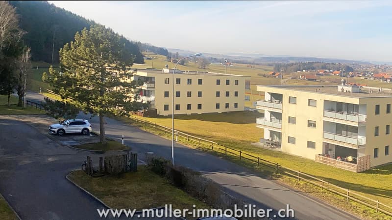 Bello appartamento traversante a Farvagny-le-Grand (12)