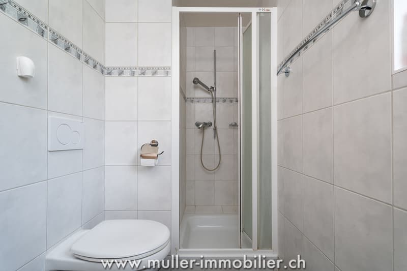 Bellissima villa individuale con giardino a Ursy (7)