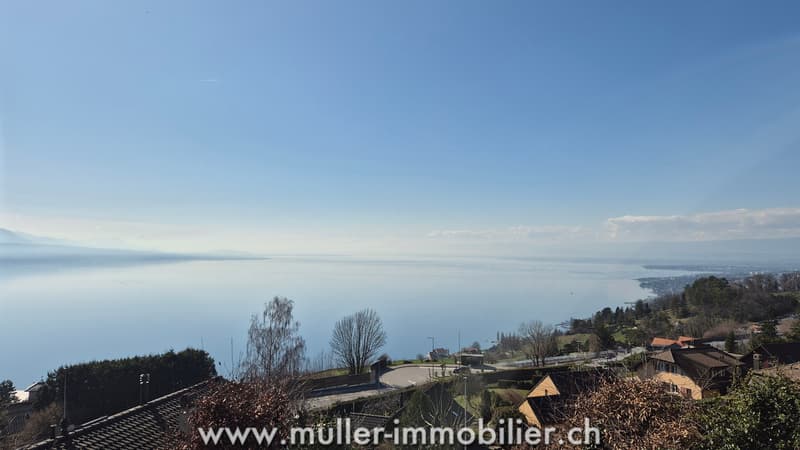 Chalet avec vue exceptionnelle sur parcelle constructible à Grandvaux (3)