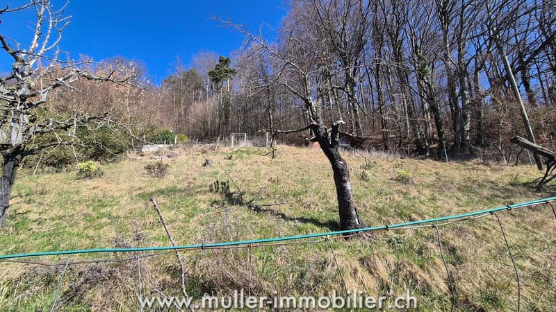 Chalet avec vue exceptionnelle sur parcelle constructible à Grandvaux (5)