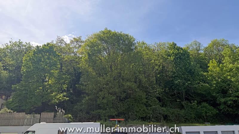 Apartment 3.5 rooms renovated with balcony in Monthey (9)