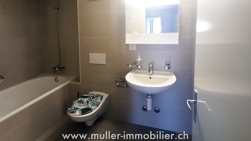 Apartment 3.5 rooms renovated with balcony in Monthey (6)