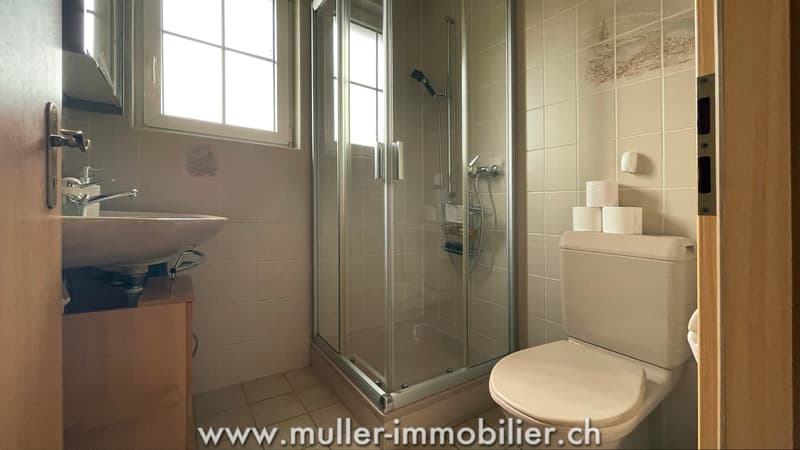 Beautiful villa in viager occupied without rent, in Châtillens (7)