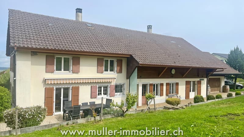 Authentic village house with 5.5 rooms in a green oasis of 1'884 m2 (11)
