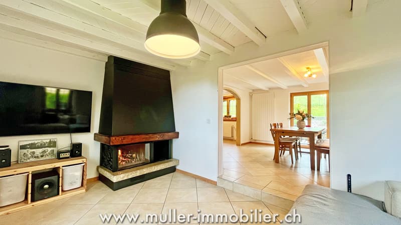 Authentic village house with 5.5 rooms in a green oasis of 1'884 m2 (6)