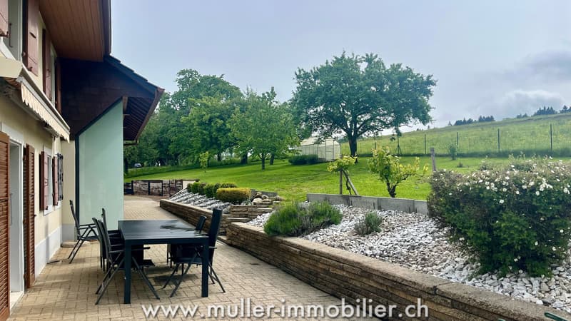 Authentic village house with 5.5 rooms in a green oasis of 1'884 m2 (2)