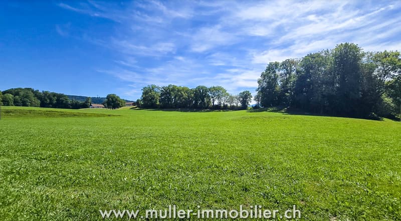 Schöne Villa in Bossonnens (9)