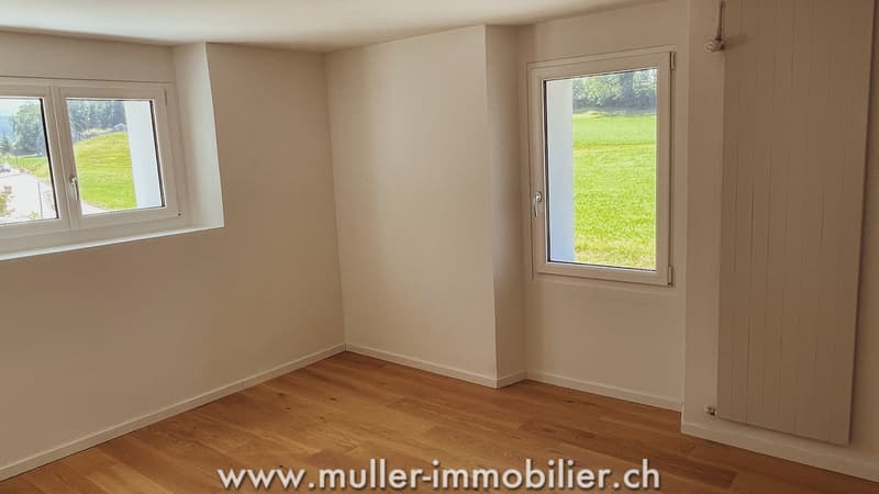 Schöne Villa in Bossonnens (4)