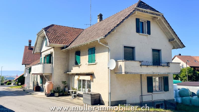 Haus im Dorf Villarsiviriaux (2)