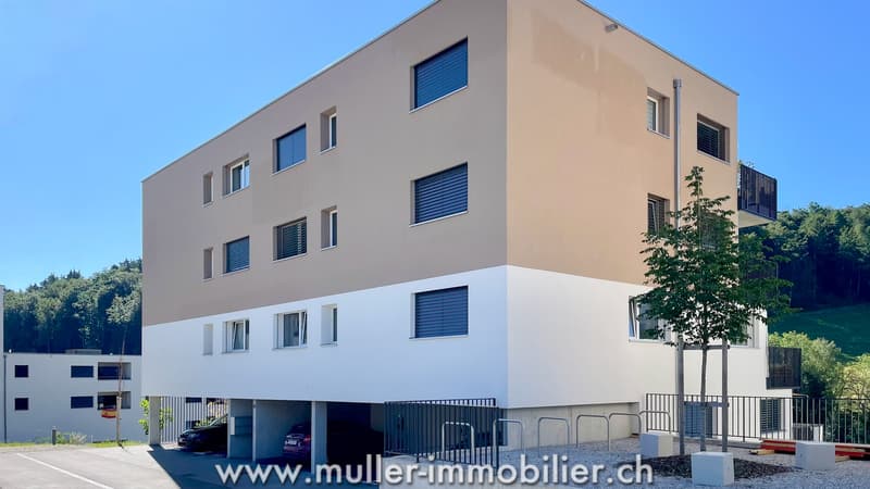 Sehr schönes Durchgangsappartement im Dorf Remaufens (9)