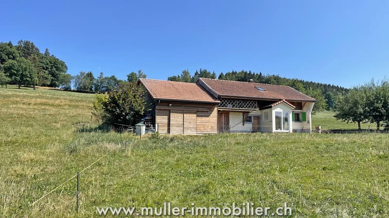 Charmantes Haus mitten in den Wiesen, nahe Romont (3)