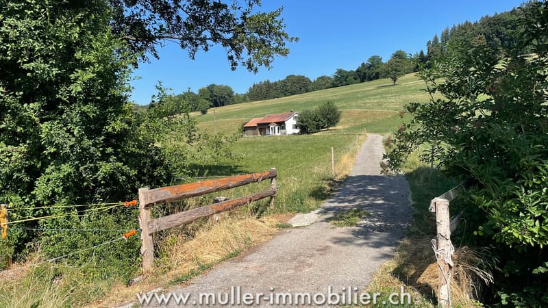Charmantes Haus mitten in den Wiesen, nahe Romont (1)