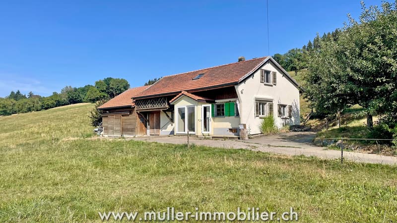 Charmantes Haus mitten in den Wiesen, nahe Romont (2)