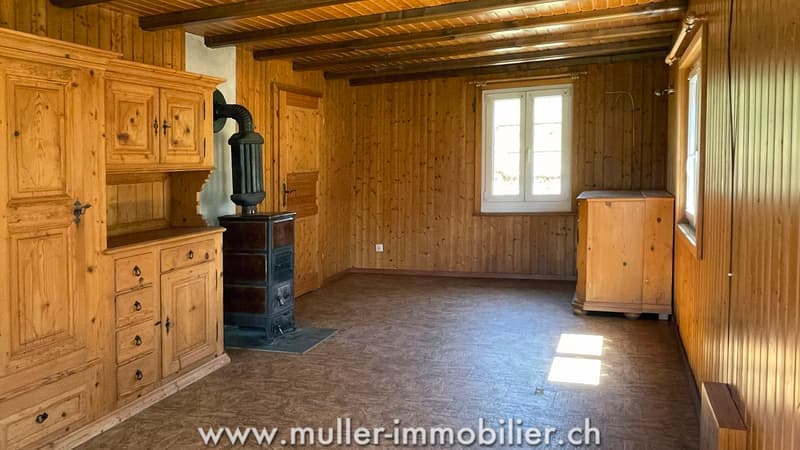 Charmantes Haus mitten in den Wiesen, nahe Romont (5)