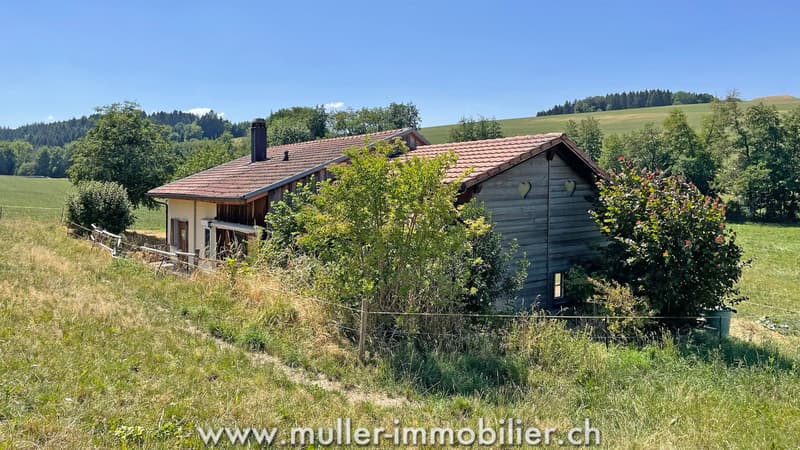 Charmantes Haus mitten in den Wiesen, nahe Romont (12)