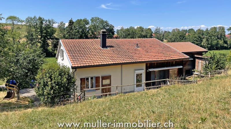 Charmantes Haus mitten in den Wiesen, nahe Romont (11)