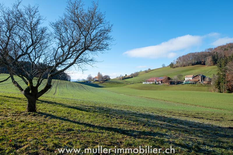Renovated farm: quiet environment surrounded by fields (12)
