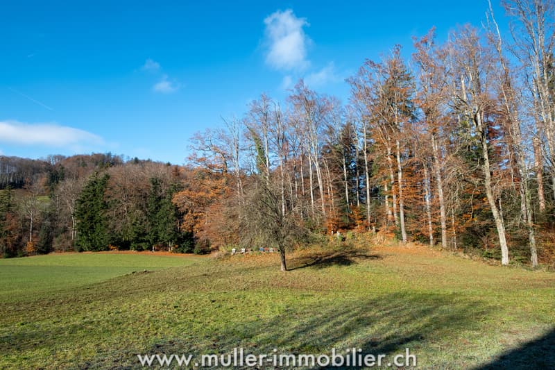 Renovated farm: quiet environment surrounded by fields (13)