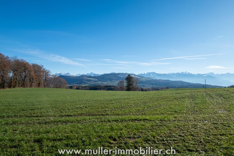 Renovated, isolated farm surrounded by fields (12)