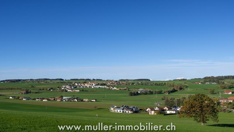 Schönes 3,5-Zimmer-Apartment mit Balkon auf dem Land (11)