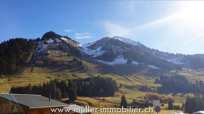 Grand chalet aux Mosses avec appartements et tea-room (8)
