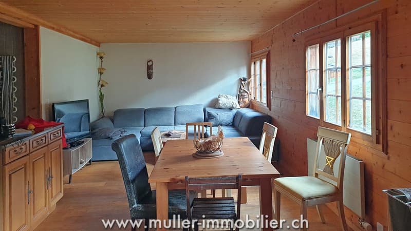 Grand chalet aux Mosses avec appartements et tea-room (7)