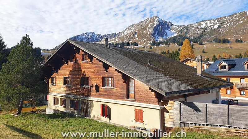 Grand chalet aux Mosses avec appartements et tea-room (9)