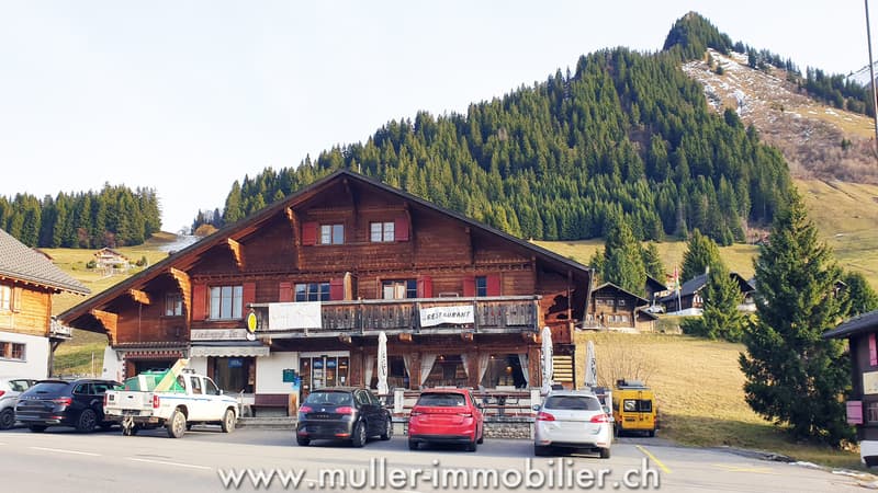 Grand chalet aux Mosses avec appartements et tea-room (1)