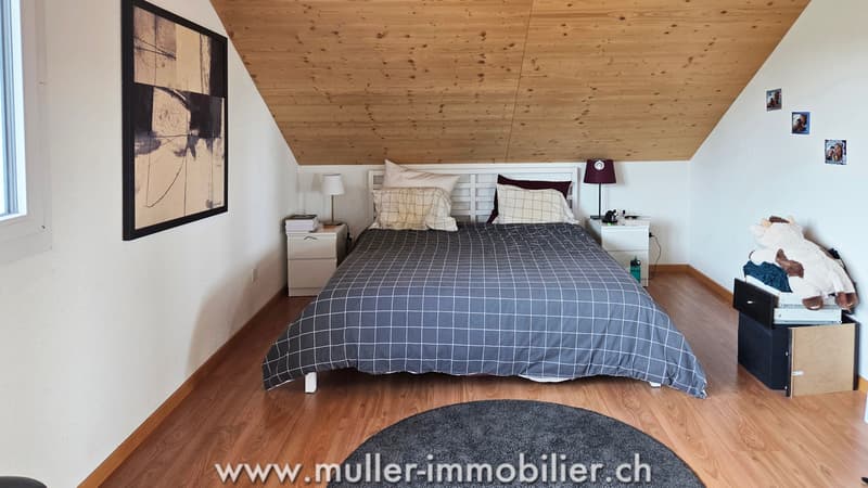 Superbe propriété avec 3 logements sur la commune de Forel Lavaux (9)