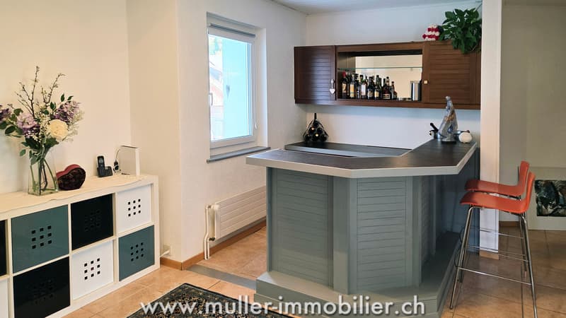 Superbe propriété avec 3 logements sur la commune de Forel Lavaux (3)