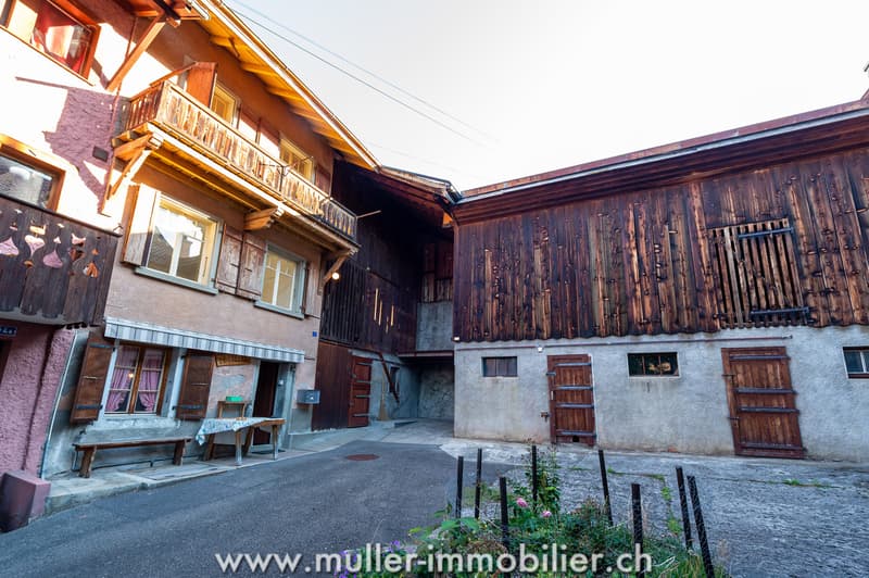 Maison villageoise avec dépendances, à rénover, au centre d'Ollon (1)