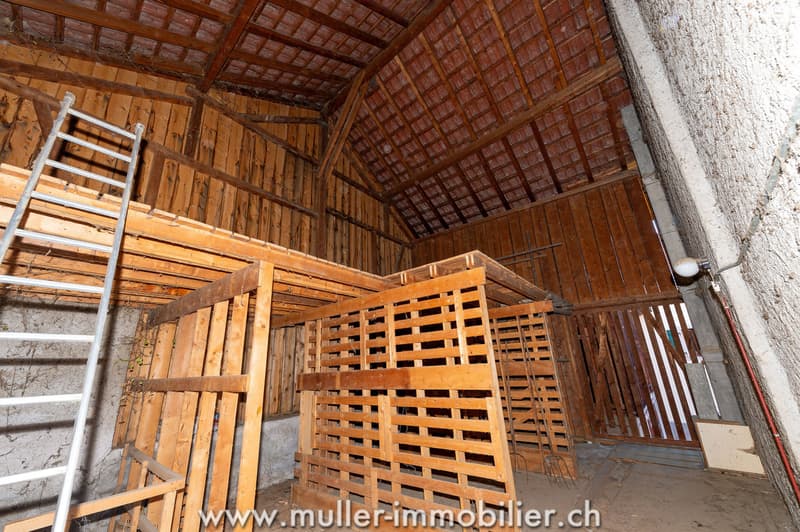 Maison villageoise avec dépendances, à rénover, au centre d'Ollon (10)