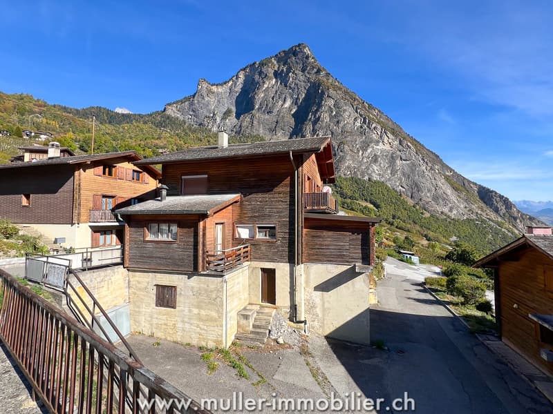 Chalet de caractère surplombant la vallée (1)