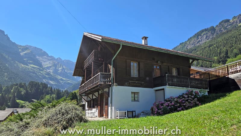 Spacieux chalet, vue sur les Dents du Midi à Champéry (1)