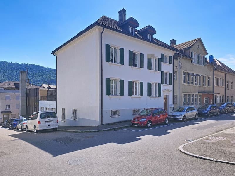 Apartment 4.5 rooms to renovate (11)