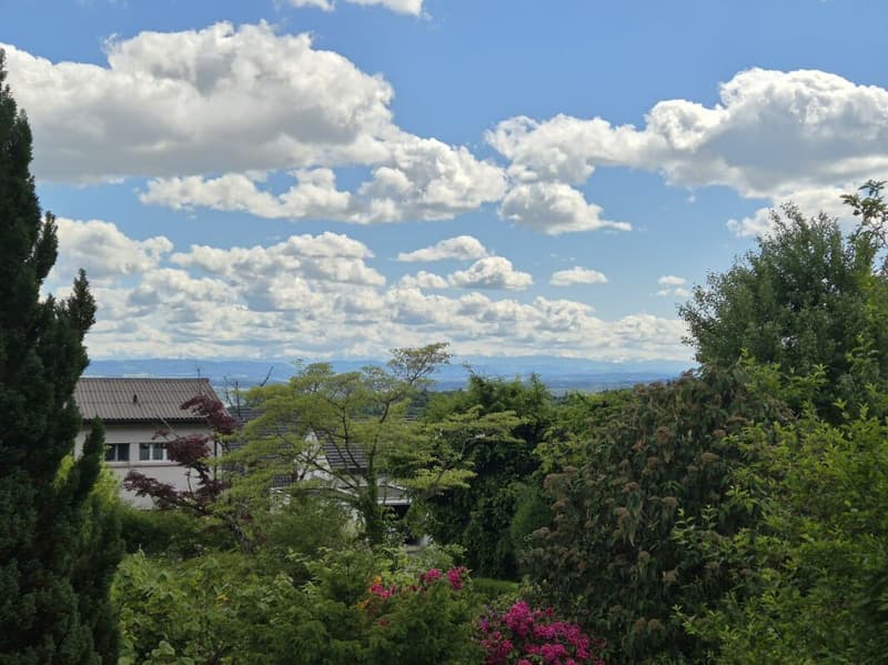 Villa with 4.5 rooms for sale (16)