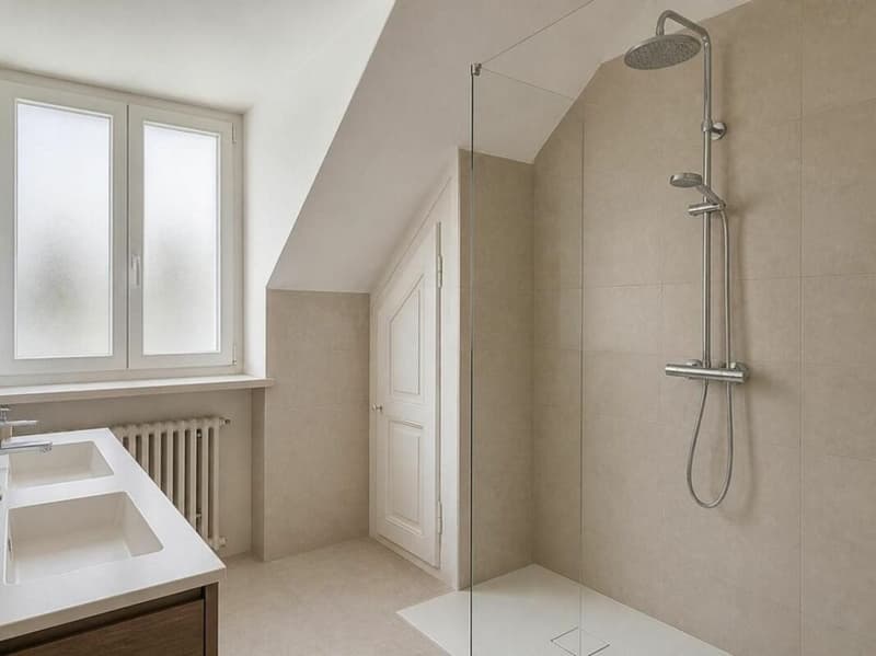Magnifique potentiel pour ce duplex 5 pièces à personnaliser (12)