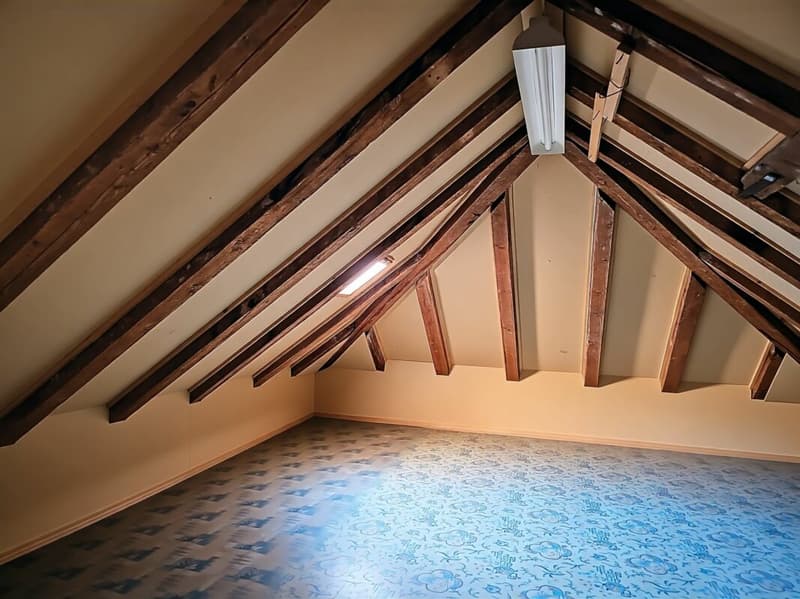 Magnifique potentiel pour ce duplex 5 pièces à personnaliser (15)