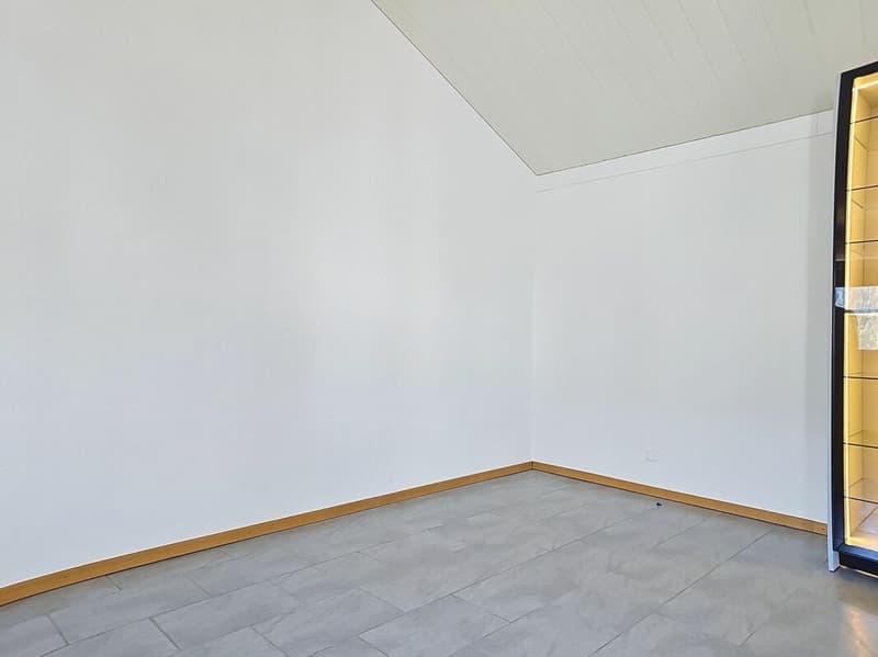Prächtige vollständig renovierte Wohnung in der Nähe des Zentrums (4)