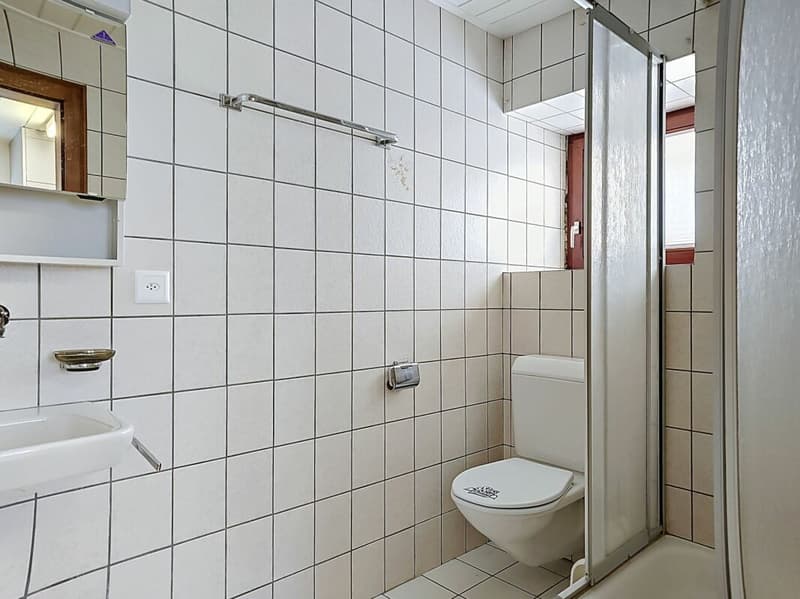 Zweizimmerwohnung im Erdgeschoss (9)
