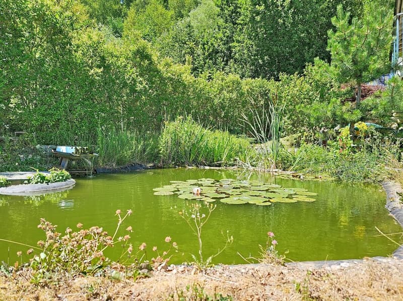 Situation Privilégiée avec vue panoramique totalement dégagée (14)