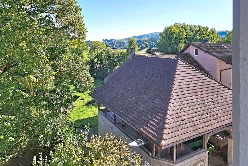 IMMOBILE PER INVESTIMENTO LOCATIVO - OTTIMA CONDIZIONE VICINO PAYERNE E ESTAVAYER (10)