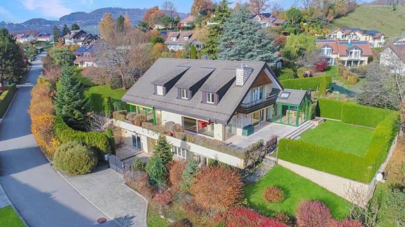 High-end house (2)