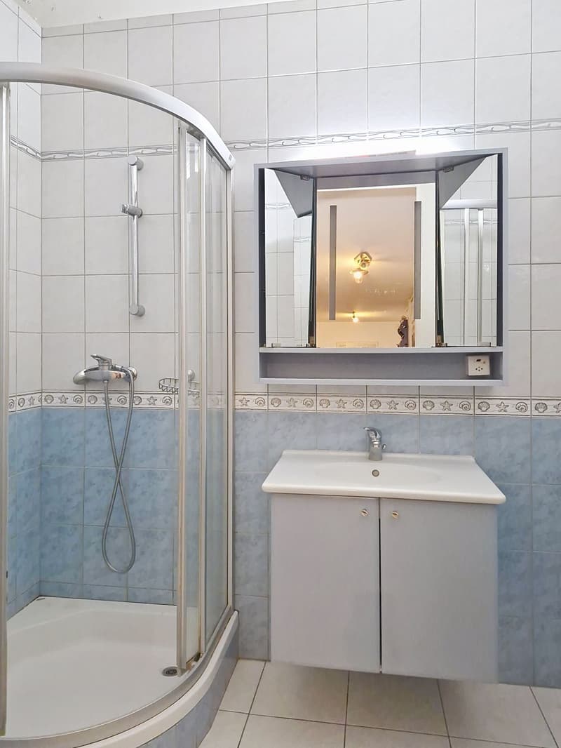 Appartement spacieux - lumineux - 4,5 pièces - au centre de La Chaux-de-Fonds (5)