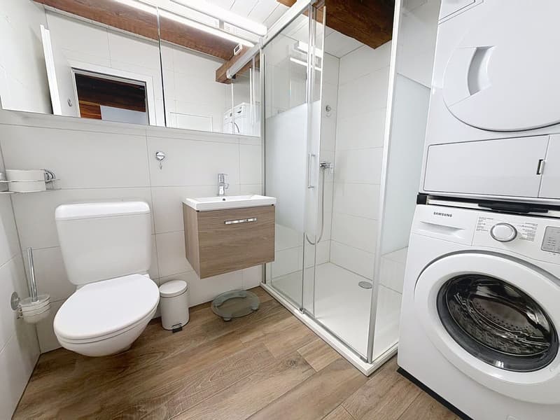 Magnificent apartment in the center of Peseux. Calm, serene, 2 steps from transportation, schools, and shops. (8)