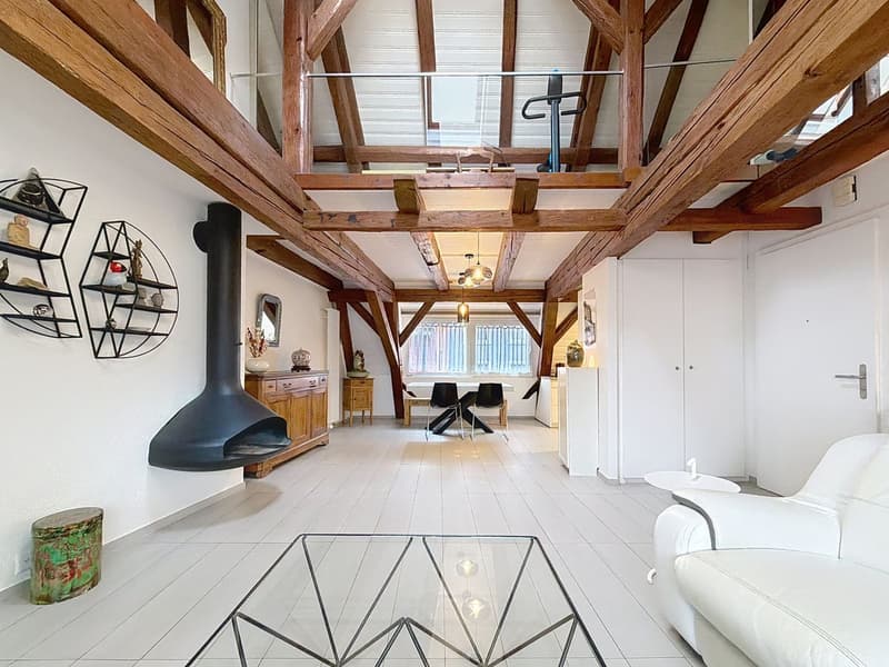 Magnificent apartment in the center of Peseux. Calm, serene, 2 steps from transportation, schools, and shops. (1)