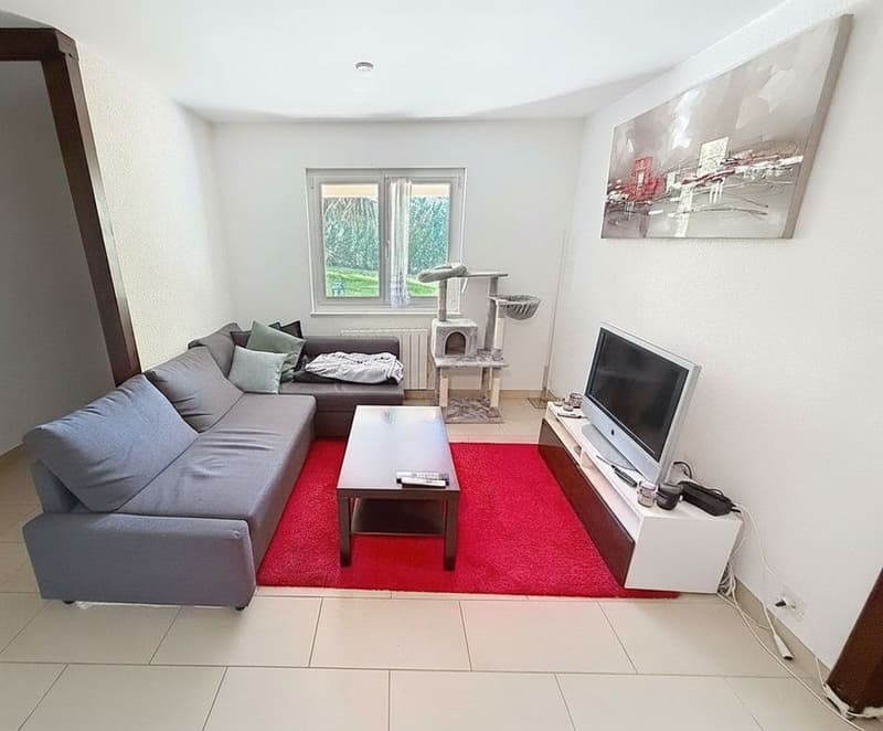 Detached house with 6.5 rooms (170 m2) + a 3-room apartment of 61m2, swimming pool and large garden - 10 minutes from Lausanne (12)
